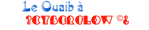 Bienvenu sur mon site web !